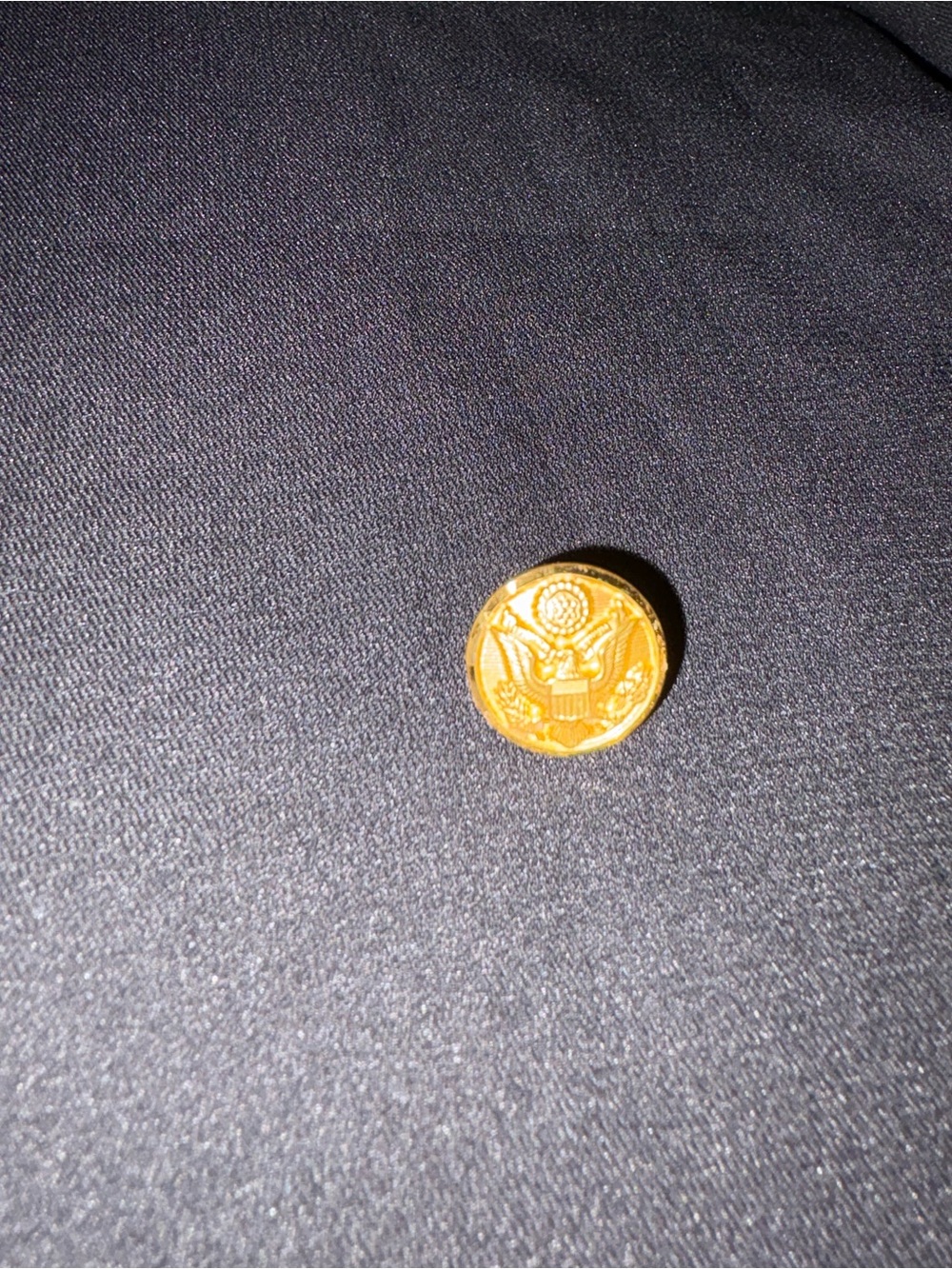 America symbol eagle gold button